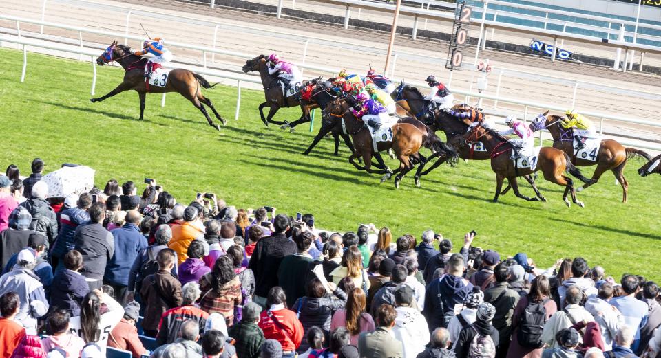 新年好去處2024｜沙田馬場年初三大型賀年活動「農曆新年賽馬日」 高達1億3千8百萬大賞！現場設桃花園＋轉運風車