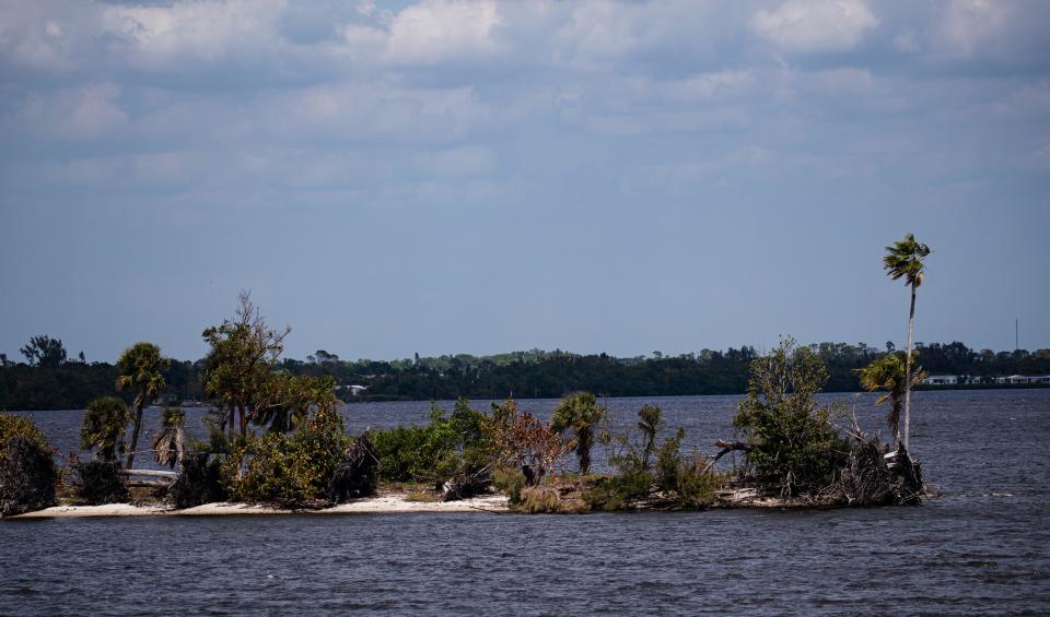 Legacy Island sits in the Caloosahatchee River near downtown Fort Myers onMonday, March 25, 2024. The City of Fort Myers is developing into an island park. The Fort Myers Fire Department has been doing prescribed burns over the last several weeks. The park is set to open in July.