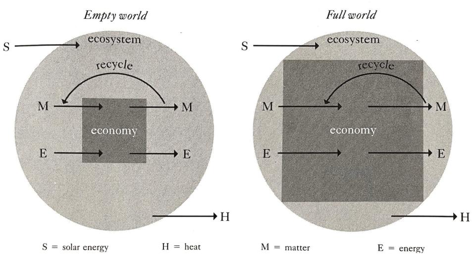 Herman Daly’s conception of the economy as a subsystem of the environment. In a ‘full world,’ more growth can become uneconomic. Adapted from 'Beyond Growth.' Used with permission from Beacon Press.