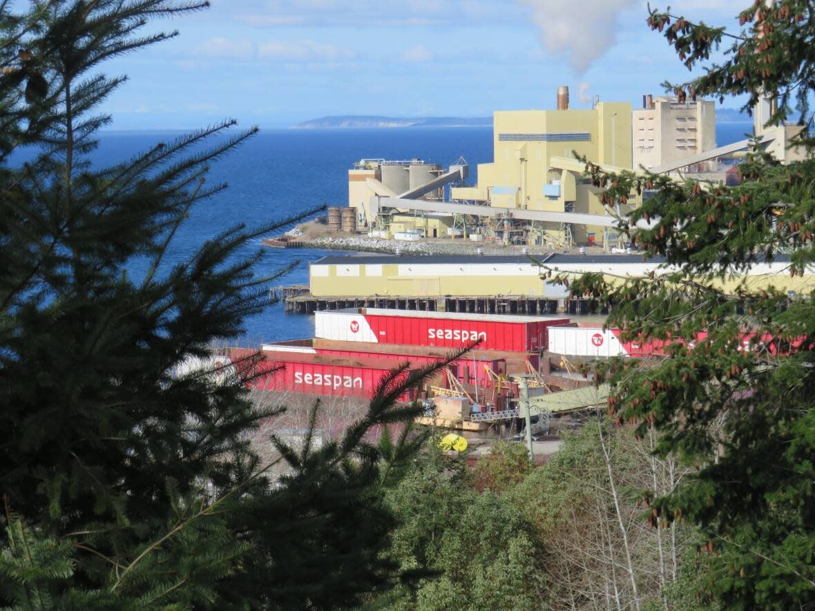 Paper Excellence is  shutting down its Catalyst Paper tiskwat mill in Powell River, B.C. The mill has produced paper for over 100 years.  (Submitted by Eldon Haggarty - image credit)