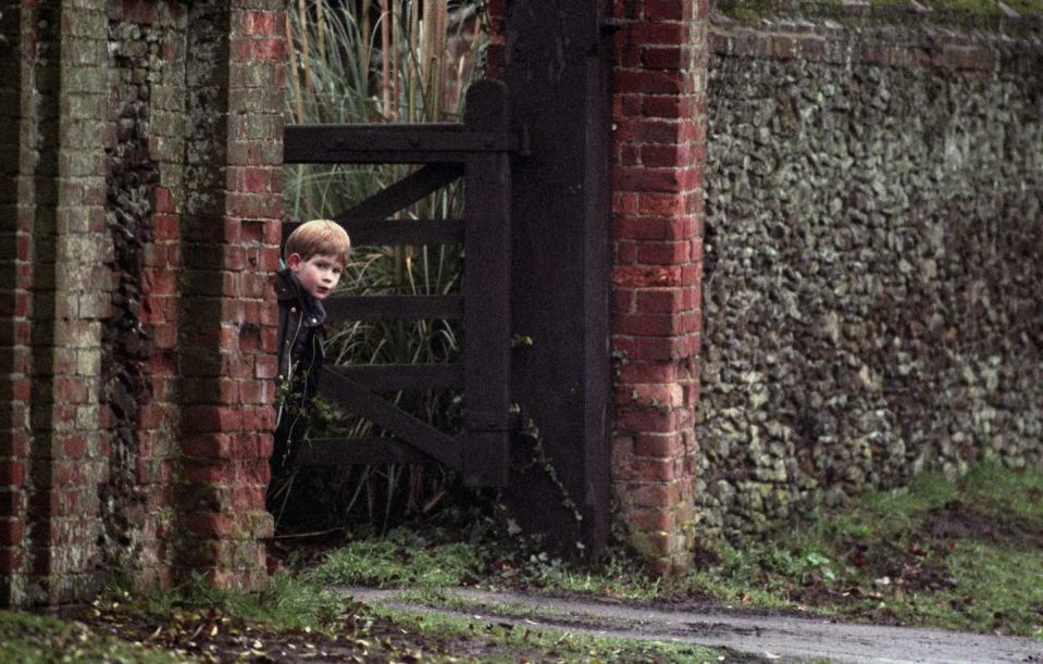 prince harry, on his way to sandringham stables at sandringham estate