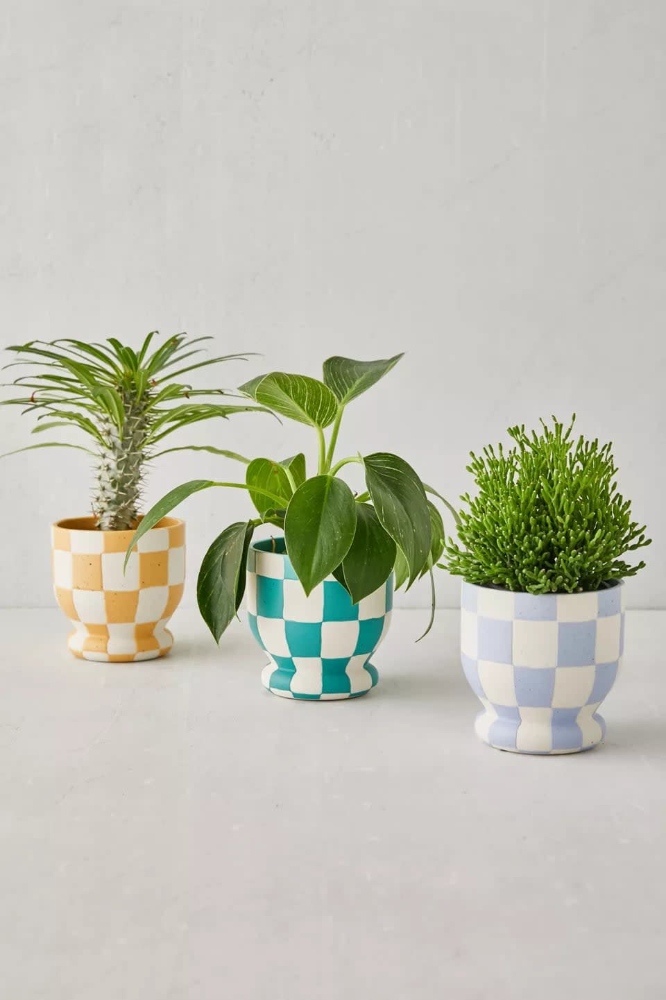 Gasvormig liter Heer Elevate Your Greenery With These Planters and Vases From Urban Outfitters