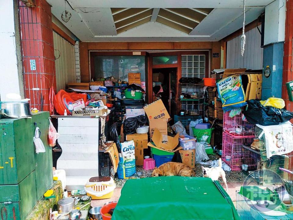 蕭新鳳在台中市漢口路鬧區的狗場髒亂、惡臭，鄰居受不了，環保局也很頭疼。