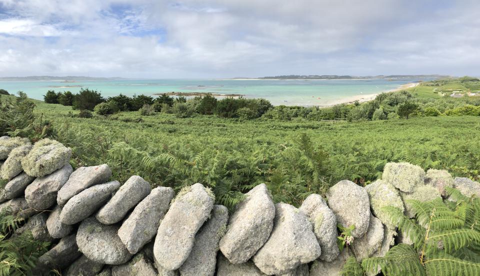 Dry stone wall on St Martins, Isles of Scilly