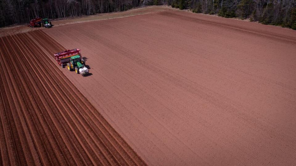 An aerial view of tractors planting potatoes and plowing a field in  Roseberry, P.E.I. on sunny afternoon, late-April. 