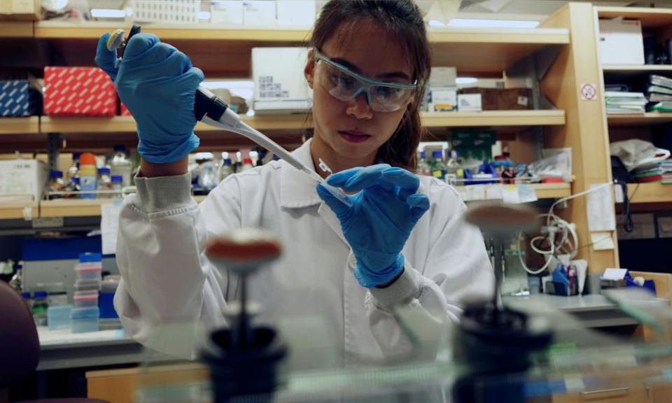 A researcher works in a lab at the Duke-NUS Medical School in Singapore.