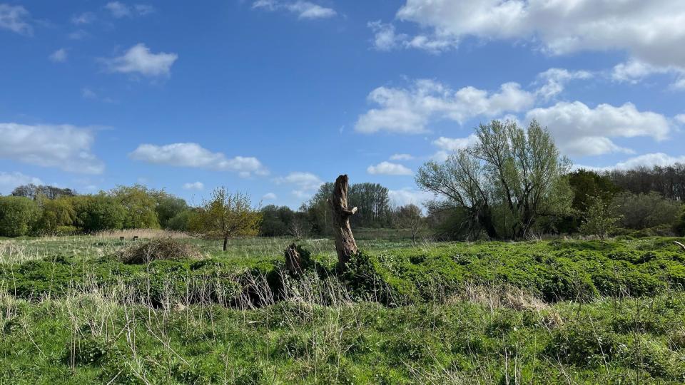 Farmland