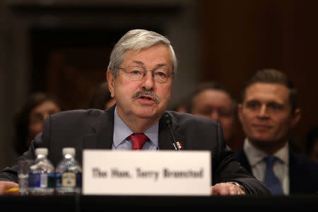 Iowa Governor Terry Branstad testifies before a Senate Foreign Relations Committee confirmation hearing on his nomination to be U.S. ambassador to China at Capitol Hill in Washington D.C., U.S., May 2, 2017. REUTERS/Carlos Barria