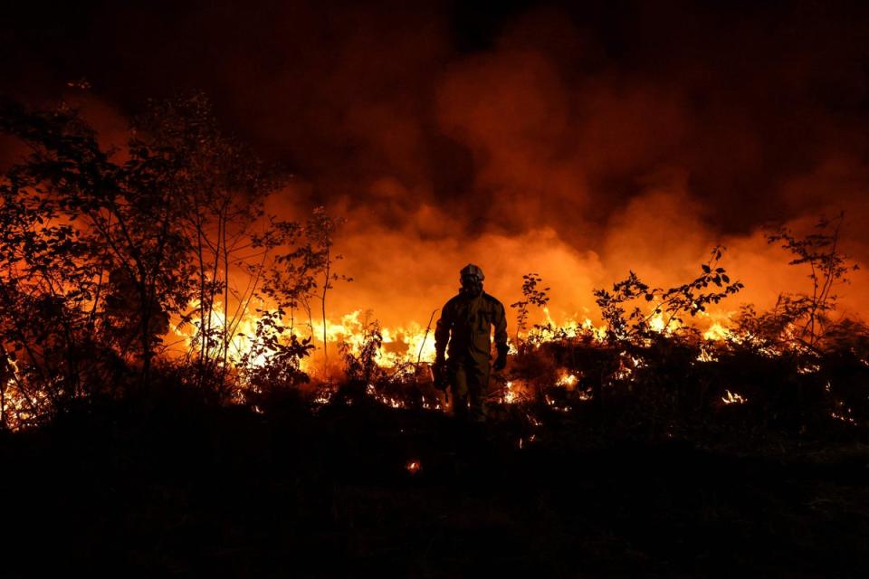 A tactical firefighter set fires to a plot of land as firefighters attempt to prevent the wildfire from spreading due to wind change in Gironde on 17 July.  (AFP via Getty Images)