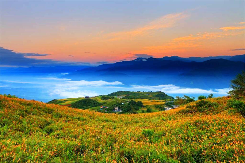 雲彩中的赤科山金針花海(圖片來源：花東縱谷國家風景區)