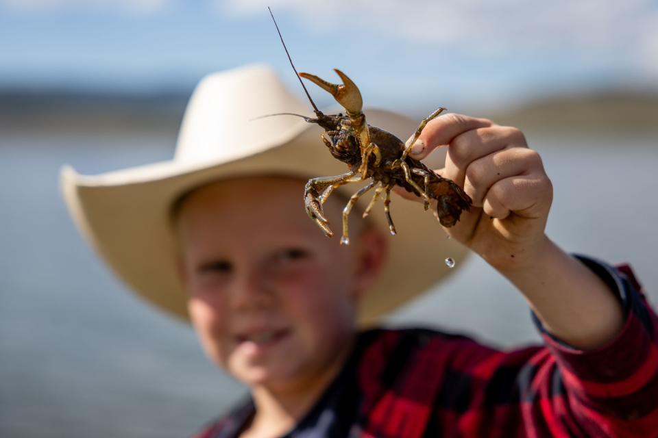 Olin Pack, 7, shows off a crawfish he and his family caught at Strawberry Reservoir on Tuesday, Sept. 5, 2023. | Spenser Heaps, Deseret News