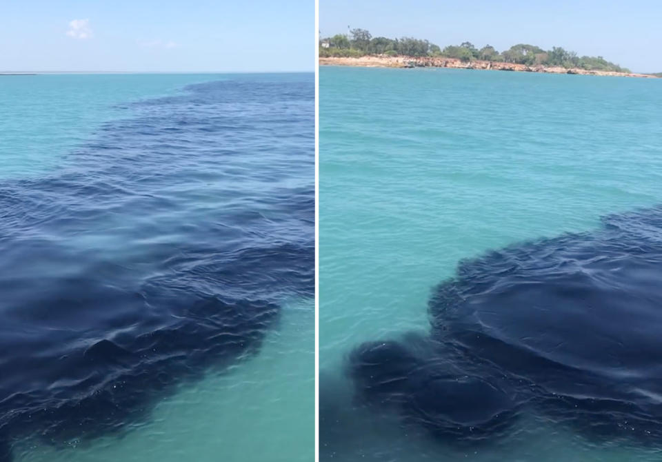 The plume was about a kilometre long, according to Jim Smith. Source: Facebook/ Sea Darwin