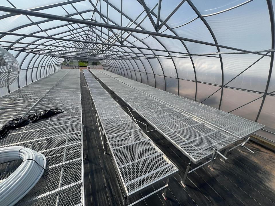 There are three shiny new greenhouses at the J. Frank Gaudet tree nursery to help produce the additional 300,000 saplings needed annually for P.E.I.'s 2 Billion Trees program. 