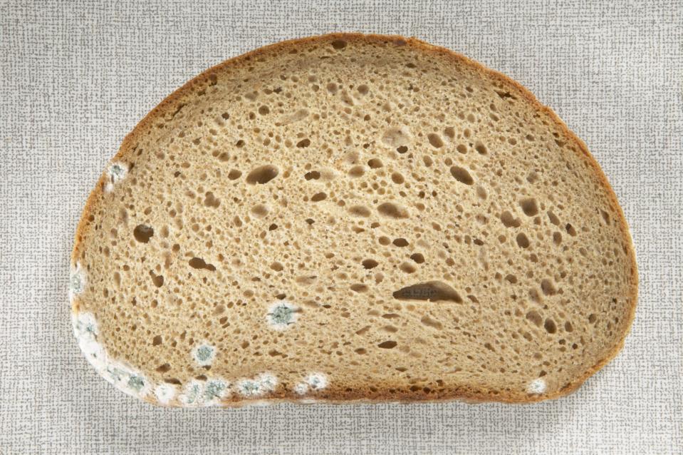 Myth #2 If there’s mould on your bread, you can just scrape it off.