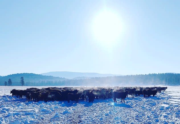 29.2 degrees record cold Potomac, Montana