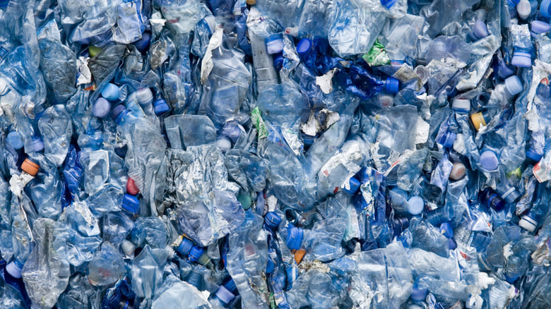 Plastic bottle waste