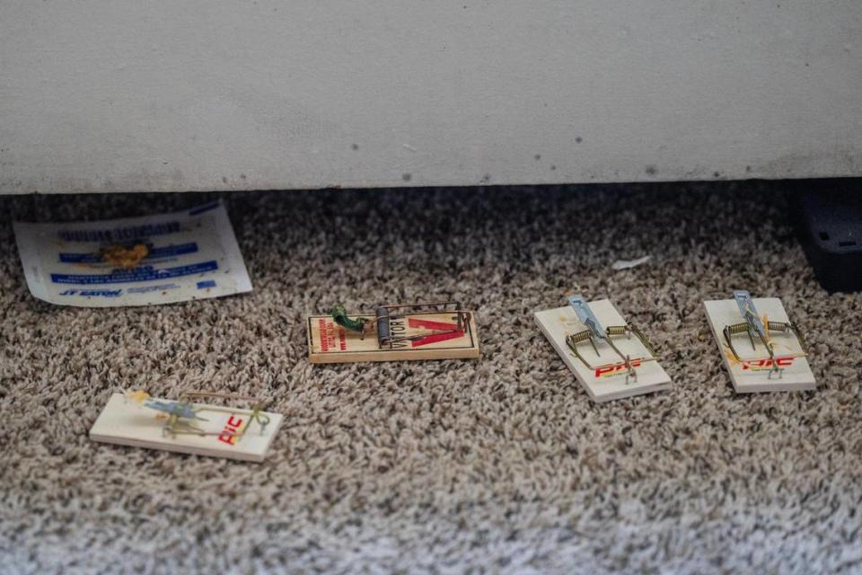Mouse traps and cockroach traps are seen placed along the gap of a wall heater in Michelle Paylor’s studio apartment at Independence Towers on March 19 in Independence.