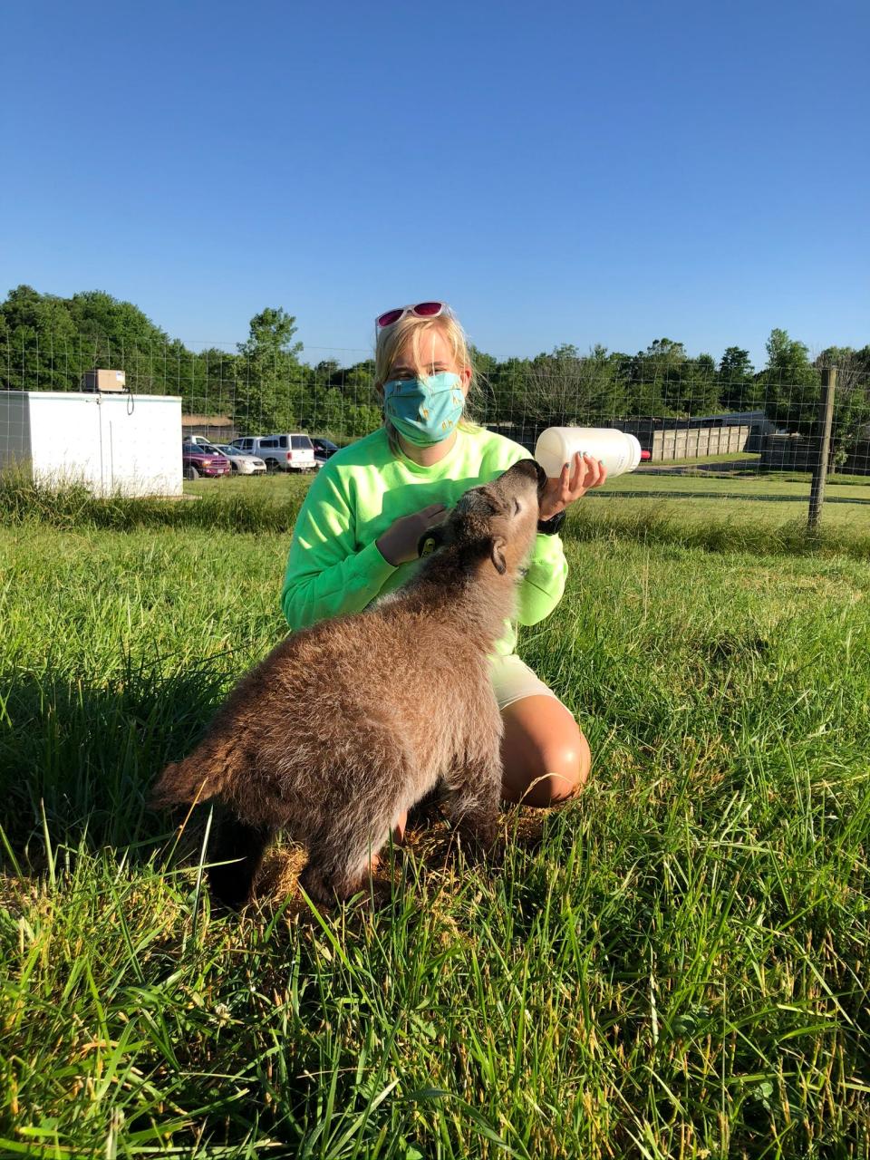 Krystin Smith is registered veterinary technician at The Wilds. Her job involves collecting blood samples, monitoring anesthesia and administering medications, among other things.