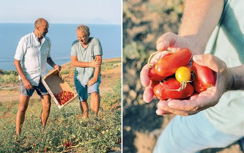  Mascoli (right) with his tomato grower, Biagio Rantuccio - Credit: Jasper Fry