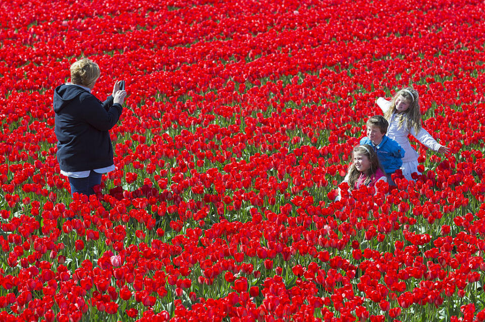 8. The Netherlands – $2.52 trillion (according to latest figures available as on March 31, 2014)