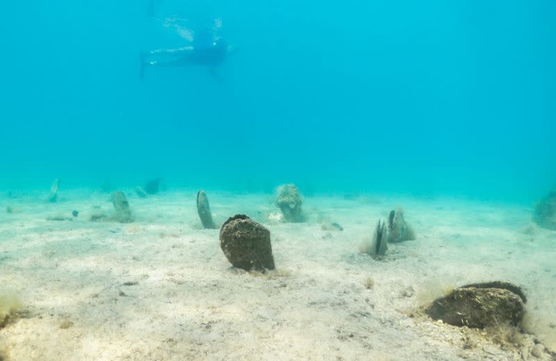 Croatia launches pen shell rescue as underwater pandemic kills species