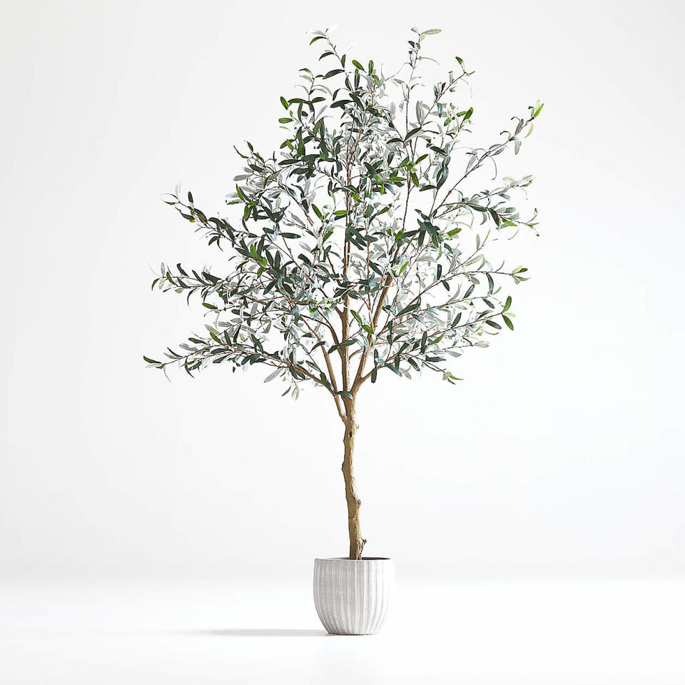 <p><a href="https://go.redirectingat.com?id=74968X1596630&url=https%3A%2F%2Fwww.crateandbarrel.com%2Ffaux-olive-tree-in-pot-7%2Fs439123&sref=https%3A%2F%2Fwww.elledecor.com%2Fdesign-decorate%2Fg60399178%2Fbest-faux-olive-trees%2F" rel="nofollow noopener" target="_blank" data-ylk="slk:Shop Now;elm:context_link;itc:0;sec:content-canvas" class="link ">Shop Now</a></p><p>Faux Olive Tree in Pot</p><p>crateandbarrel.com</p><p>$399.00</p>