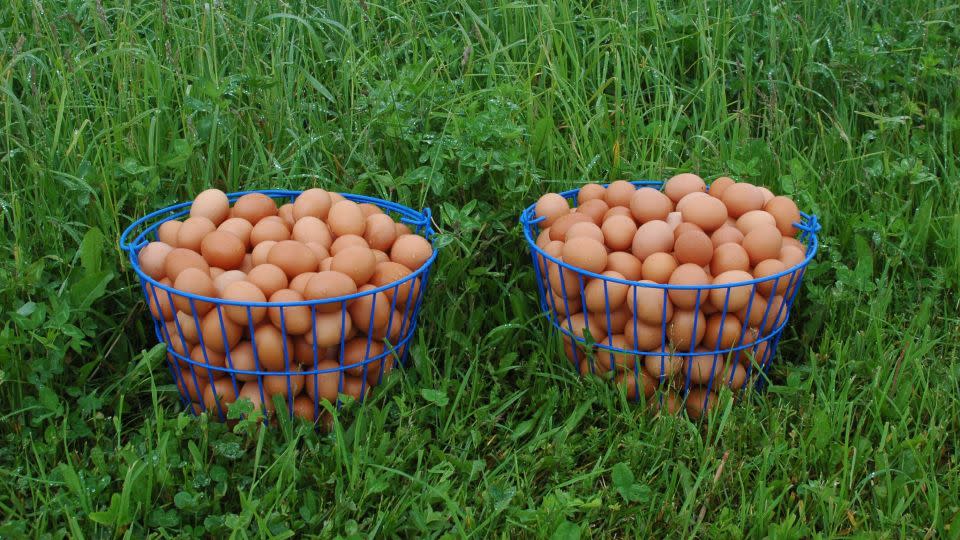 Brown eggs generally cost more in stores than white eggs. It has to do with the cost of the upkeep of the chicken breed that produces brown eggs. - Edmund McNamara
