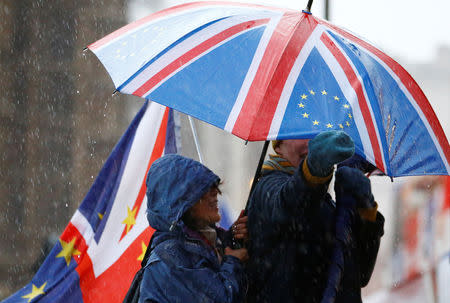 Anti-Brexit protesters shelter from the rain outside the Houses of Parliament, after Prime Minister Theresa May's Brexit deal was rejected, in London, Britain, January 16, 2019. REUTERS/Henry Nicholls