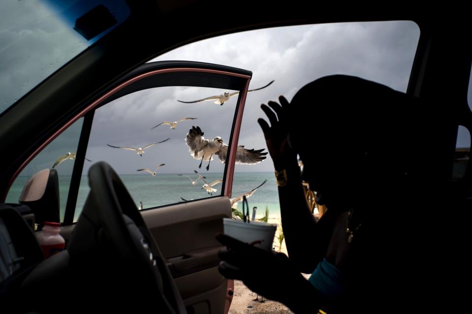 Seagulls fly toward a woman feeding them french fries from her car on Taino beach before the arrival of Hurricane Dorian in Freeport, Grand Bahama, Bahamas, Sunday, Sept. 1, 2019. Hurricane Dorian intensified yet again Sunday as it closed in on the northern Bahamas, threatening to batter islands with Category 5-strength winds, pounding waves and torrential rain. (AP Photo/Ramon Espinosa)