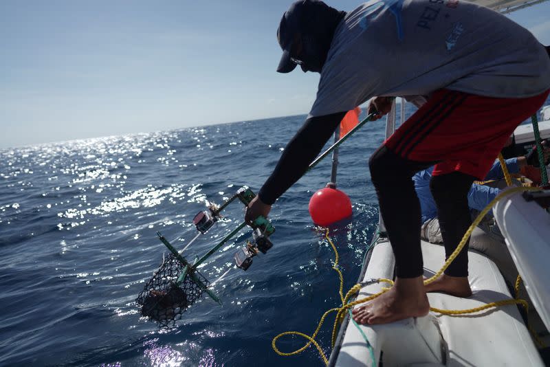 Cuban scientists circumnavigate Cuba to study coral reefs and climate change