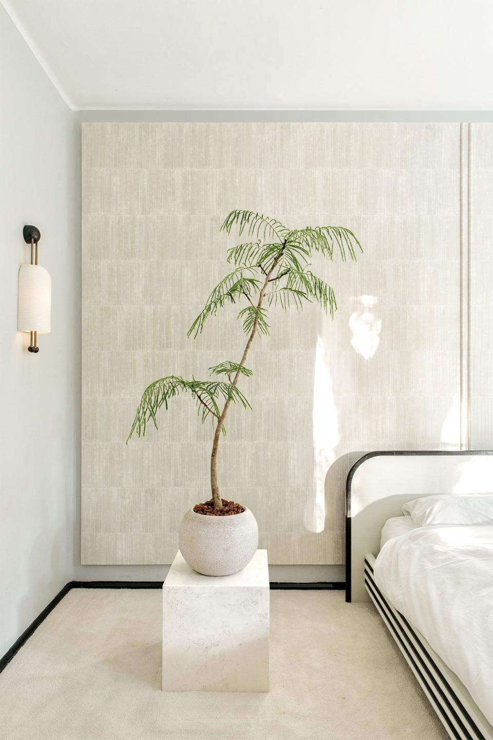 <p>Living in a small apartment and being a gardening enthusiast were once mutually exclusive. The too-often <a href="https://www.elledecor.com/design-decorate/room-ideas/g3464/how-to-brighten-a-dark-room/" rel="nofollow noopener" target="_blank" data-ylk="slk:dark;elm:context_link;itc:0;sec:content-canvas" class="link ">dark</a>, damp, or overly dry environments are not exactly the most ideal for those looking to turn their living room into a makeshift greenhouse. However, this no longer needs to be the case, as there is a wide array of plant species that are actually perfectly suited for surviving—and even thriving—in less-than-tropical conditions. So we at <em>ELLE DECOR</em> tapped Baltimore-based plant stylist <a href="https://thingsbyhc.com/" rel="nofollow noopener" target="_blank" data-ylk="slk:Hilton Carter;elm:context_link;itc:0;sec:content-canvas" class="link ">Hilton Carter</a>, author of last year’s <a href="https://www.amazon.com/Wild-Interiors-Beautiful-plants-beautiful/dp/1782498753" rel="nofollow noopener" target="_blank" data-ylk="slk:Wild Interiors;elm:context_link;itc:0;sec:content-canvas" class="link "><em>Wild Interiors</em></a><em>,</em> to recommend the best indoor apartment <a href="https://www.elledecor.com/shopping/best-stores/g19574855/buy-plants-online/" rel="nofollow noopener" target="_blank" data-ylk="slk:plants that you can buy online;elm:context_link;itc:0;sec:content-canvas" class="link ">plants that you can buy online</a>, and also to tell you how to care for them once they’re all yours. Read on for his top picks, as well as some of our own.<br></p>