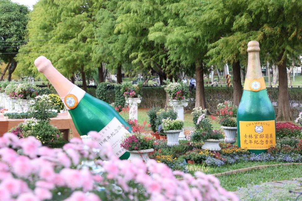 在「花園派對」菊花叢享用菊展紀念香檳。（北市公園處提供）