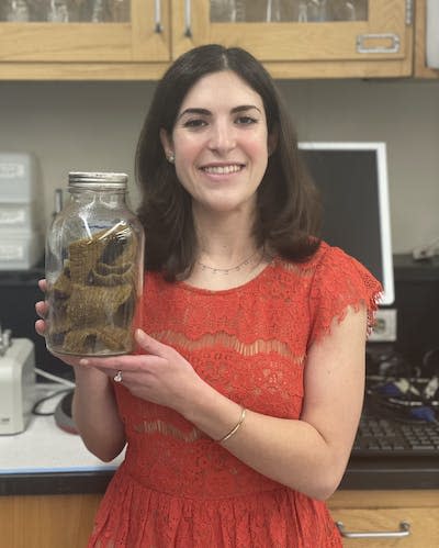 The author in the lab with her prized moth jar. Isabel Novick, <a href="http://creativecommons.org/licenses/by-nd/4.0/" rel="nofollow noopener" target="_blank" data-ylk="slk:CC BY-ND;elm:context_link;itc:0;sec:content-canvas" class="link ">CC BY-ND</a>