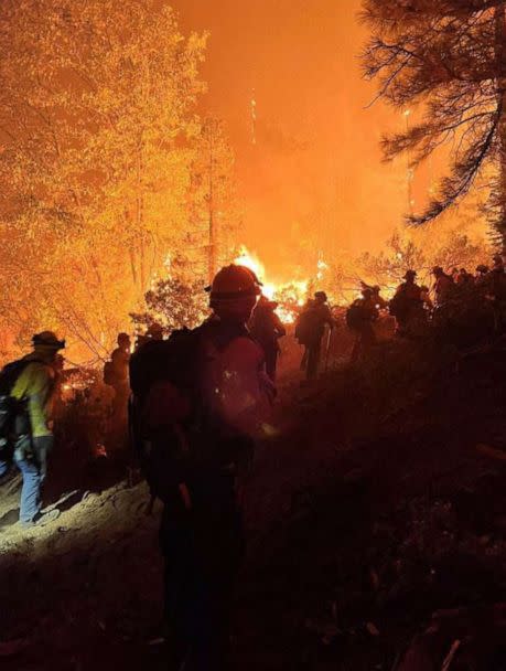PHOTO: In this handout photo obtained from the San Francisco Fire Department on Sept. 11, 2022, firefighters from the San Francisco Fire Department work to put out flames from the Mosquito Fire, outside of Sacramento, Calif. (San Francisco Fire Department via AFP via Getty Images)
