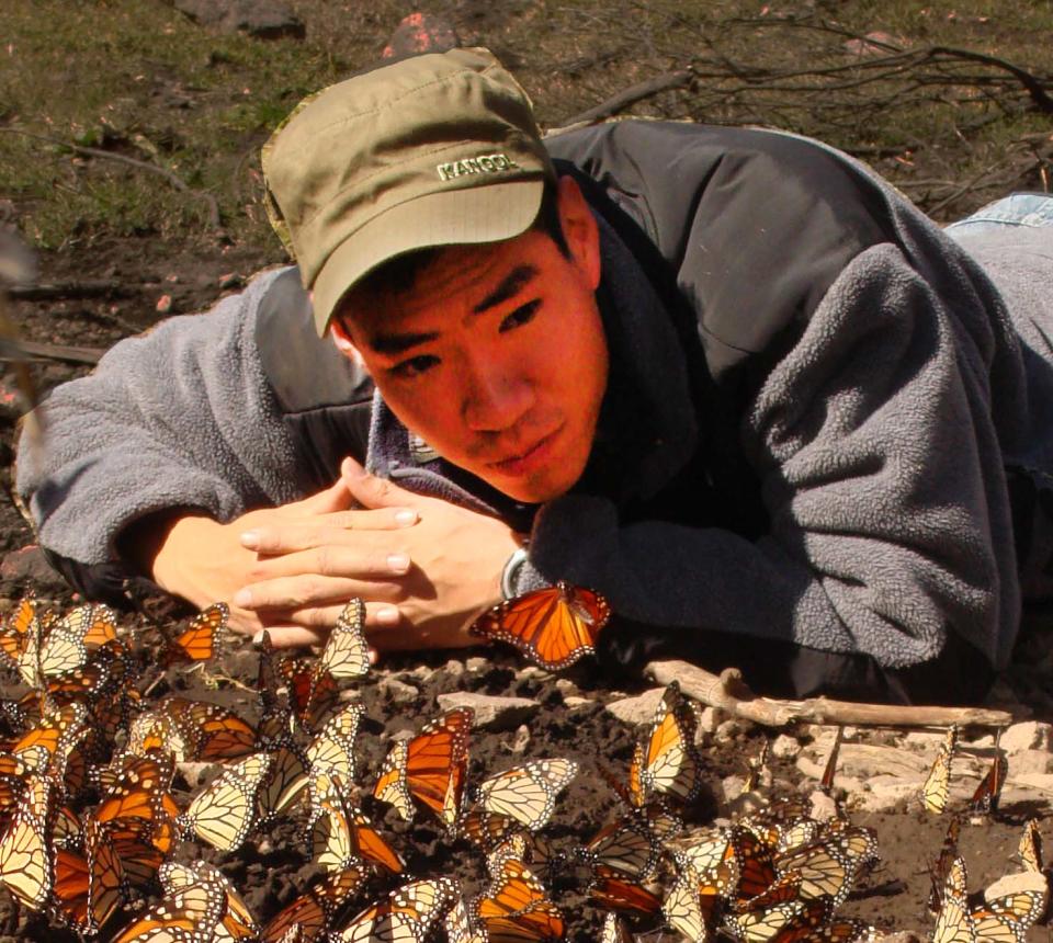 Akito Y. Kawahara will talk on “Evolution and Diversification of Butterflies and Moths" on May 17, 2023.