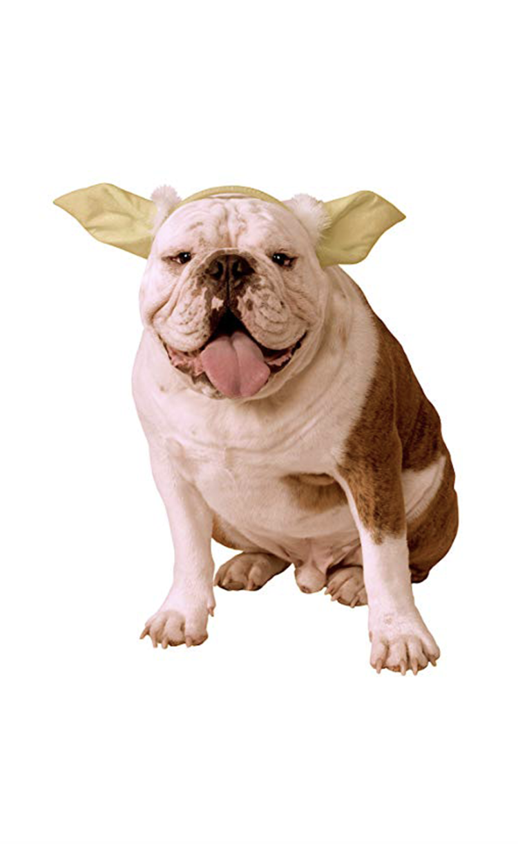 Baby Yoda Dog Ears