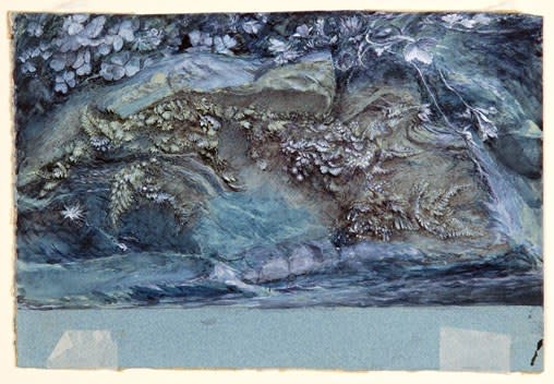 Study of Moss, Fern and Wood-Sorrel, upon a Rocky River Bank, 1875–79, by John Ruskin in pen, ink, and watercolor.