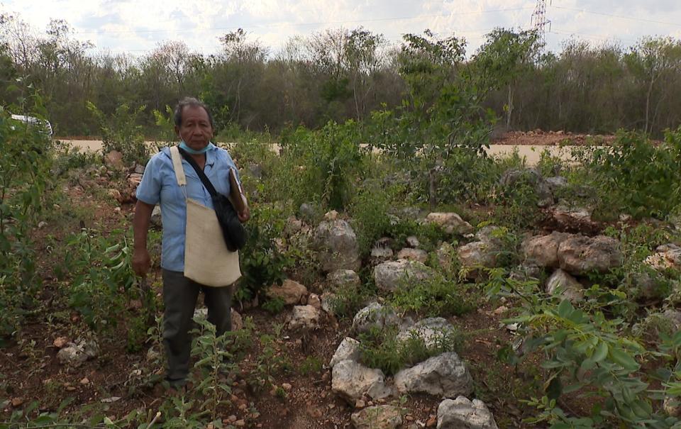 Ignacio Pat Tzuc, líder indígena maya, en los vestigios arqueológicos encontrados durante la construcción del tramo 3 del Tren Maya. (Noticias Telemundo)