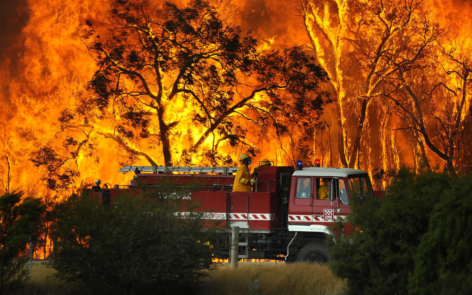 The canopy caught fire during Black Saturday. Source: AAP