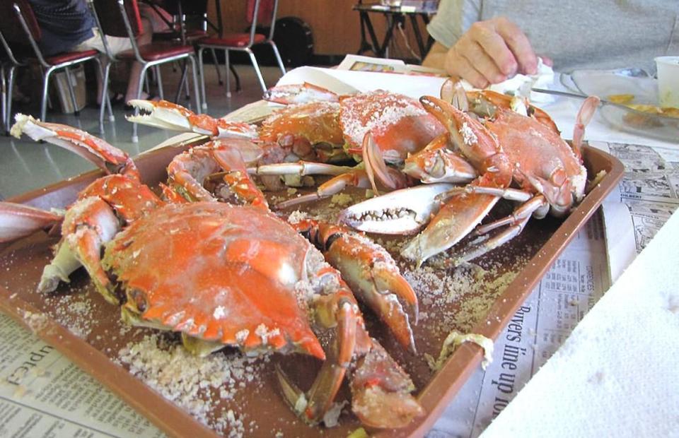Delaware: Blue Crabs, Sambo’s Tavern (Leipsic)