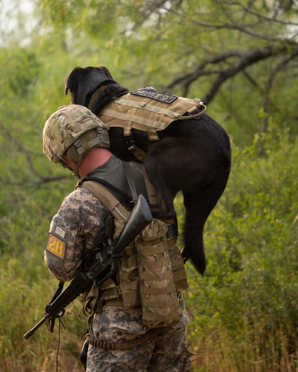 A US soldier carrying a military working dog