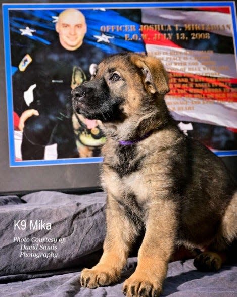 Mika, the Streetsboro Police Department's newest K-9, in front of a photo of slain Twinsburg police officer Joshua Miktarian.