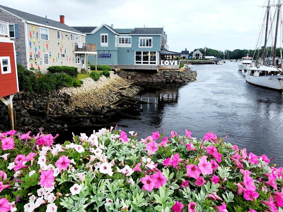 Pink flowers next to body of water and colorful buildings in Kennebunkport, Maine