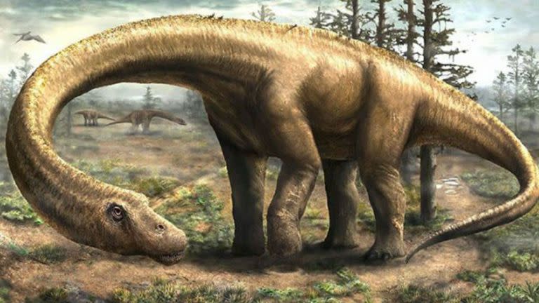 Un dibujo del Titanosaurio, un dinosaurio hallado en la provincia argentina de Chubut. Es el más grande del mundo hasta el momento