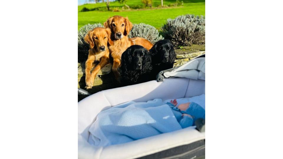 The dogs look on over James's beautiful baby, son Inigo