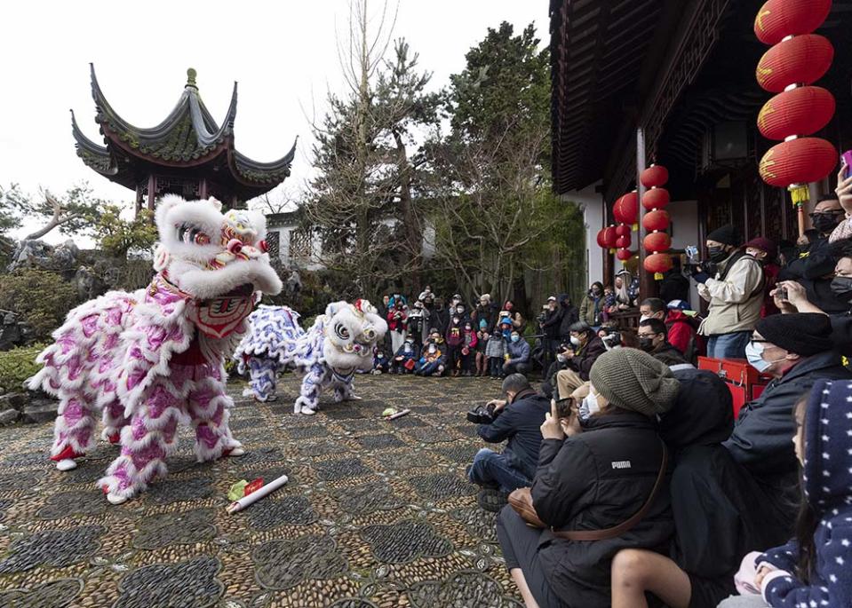 孫中山古典中式園林春節時的舞獅表演（Photo by Andrew Chin , Image Source : Getty Editorial）