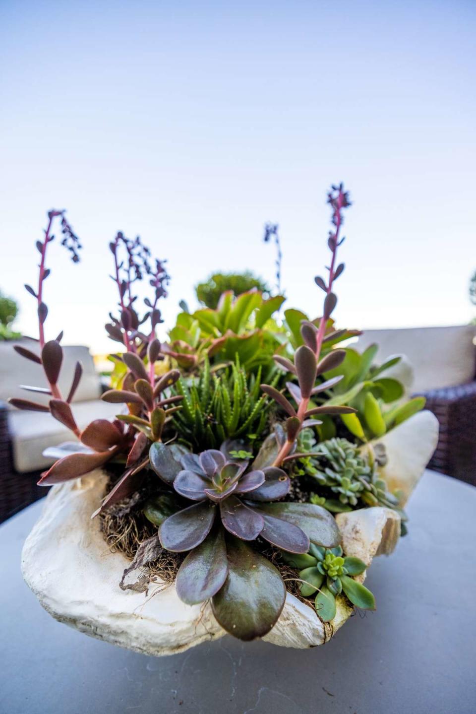 Stack Your Pots with Succulents