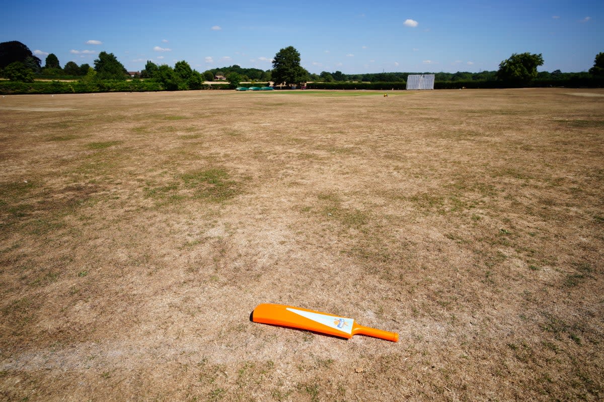 Parched grass at the cricket green in the village of Odiham in Hampshire (PA) (PA Wire)