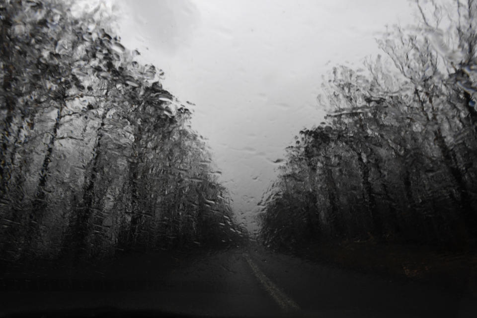 Rain will give fireighters a period of respite in fire-ravaged areas. Pictured is a burnt Bendalong road receiving rain on January 5. Source: AAP