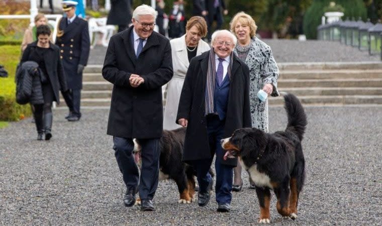 Irish President's Dog Dies at Age 11